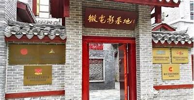 免费观看私人定制电影的完整体验和推荐指南