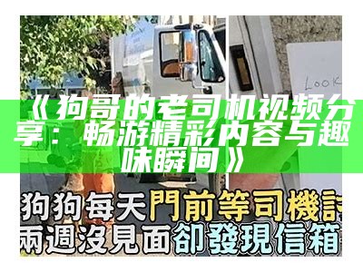《狗哥的老司机视频分享：畅游精彩内容与趣味瞬间》